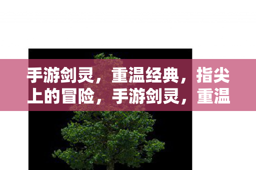 手游剑灵,重温经典,指尖上的冒险,手游剑灵,重温经典,指尖上的冒险之旅 手游剑灵,重温经典,指尖上的冒险,手游剑灵,重温经典,指尖上的冒险之旅