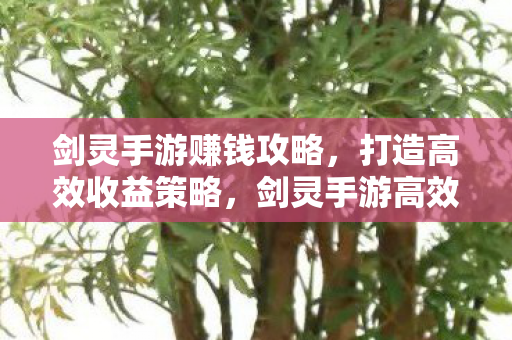 剑灵手游赚钱攻略,打造高效收益策略,剑灵手游高效收益策略,打造你的财富之路 剑灵手游赚钱攻略,打造高效收益策略,剑灵手游高效收益策略,打造你的财富之路