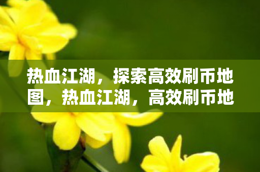 热血江湖，探索高效刷币地图，热血江湖，高效刷币地图全揭秘