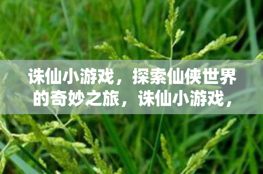 诛仙小游戏，探索仙侠世界的奇妙之旅，诛仙小游戏，开启仙侠世界的奇妙冒险之旅