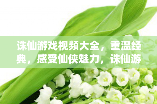 诛仙游戏视频大全，重温经典，感受仙侠魅力，诛仙游戏视频集锦，重温仙侠经典，感受魅力无限