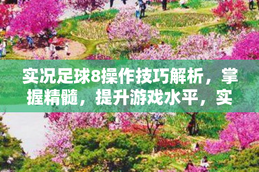 实况足球8操作技巧解析,掌握精髓,提升游戏水平,实况足球8操作技巧全解析,掌握精髓,提升游戏水平 实况足球8操作技巧解析,掌握精髓,提升游戏水平,实况足球8操作技巧全解析,掌握精髓,提升游戏水平