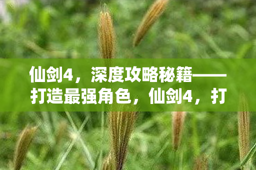 仙剑4，深度攻略秘籍——打造最强角色，仙剑4，打造最强角色深度攻略秘籍