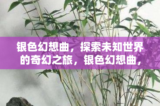 银色幻想曲,探索未知世界的奇幻之旅,银色幻想曲,探索未知世界的奇幻之旅 银色幻想曲,探索未知世界的奇幻之旅,银色幻想曲,探索未知世界的奇幻之旅