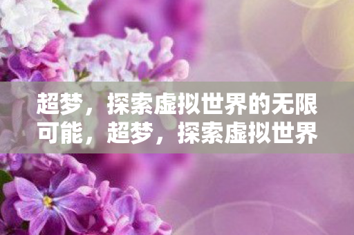 超梦，探索虚拟世界的无限可能，超梦，探索虚拟世界的无限可能