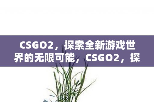 CSGO2,探索全新游戏世界的无限可能,CSGO2,探索全新游戏世界的无限可能 CSGO2,探索全新游戏世界的无限可能,CSGO2,探索全新游戏世界的无限可能