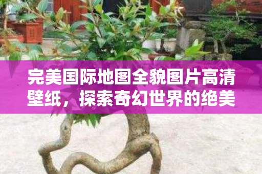 完美国际地图全貌图片高清壁纸,探索奇幻世界的绝美之旅,探索奇幻世界,完美国际地图全貌高清壁纸 完美国际地图全貌图片高清壁纸,探索奇幻世界的绝美之旅,探索奇幻世界,完美国际地图全貌高清壁纸