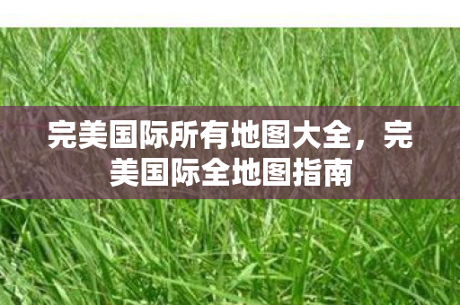 完美国际所有地图大全,完美国际全地图指南 完美国际所有地图大全,完美国际全地图指南