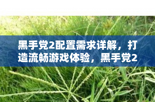 黑手党2配置需求全解析图片
