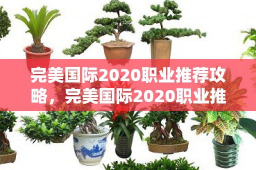 完美国际2020职业推荐攻略,完美国际2020职业推荐指南 完美国际2020职业推荐攻略,完美国际2020职业推荐指南