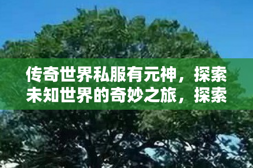 传奇世界私服有元神,探索未知世界的奇妙之旅,探索传奇世界私服元神,奇妙之旅启程 传奇世界私服有元神,探索未知世界的奇妙之旅,探索传奇世界私服元神,奇妙之旅启程