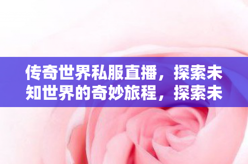 传奇世界私服直播，探索未知世界的奇妙旅程，探索未知世界的奇妙旅程，传奇世界私服直播