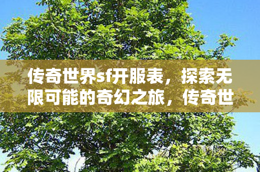 传奇世界sf开服表，探索无限可能的奇幻之旅，传奇世界sf最新开服表，开启你的奇幻冒险之旅