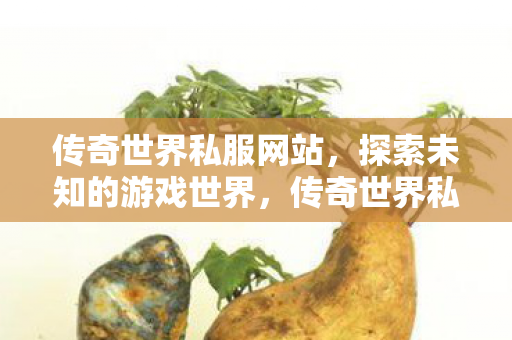 传奇世界私服网站,探索未知的游戏世界,传奇世界私服网站,探索未知的游戏世界 传奇世界私服网站,探索未知的游戏世界,传奇世界私服网站,探索未知的游戏世界