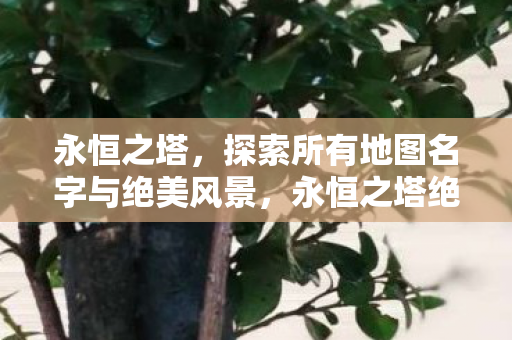 永恒之塔，探索所有地图名字与绝美风景，永恒之塔绝美地图全览，探索无限风光与神秘故事