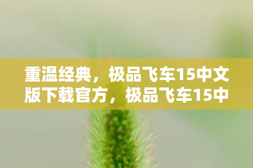 重温经典,极品飞车15中文版下载官方,极品飞车15中文版下载官方,重温经典,极速体验 重温经典,极品飞车15中文版下载官方,极品飞车15中文版下载官方,重温经典,极速体验