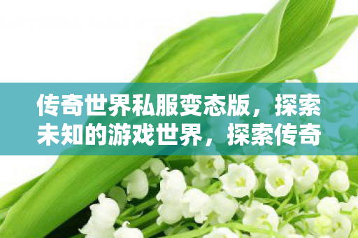 传奇世界私服变态版,探索未知的游戏世界,探索传奇世界私服变态版,解锁未知的游戏世界 传奇世界私服变态版,探索未知的游戏世界,探索传奇世界私服变态版,解锁未知的游戏世界