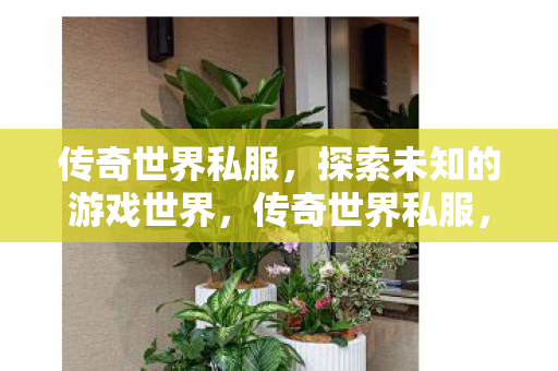 传奇世界私服,探索未知的游戏世界,传奇世界私服,探索未知的游戏世界 传奇世界私服,探索未知的游戏世界,传奇世界私服,探索未知的游戏世界