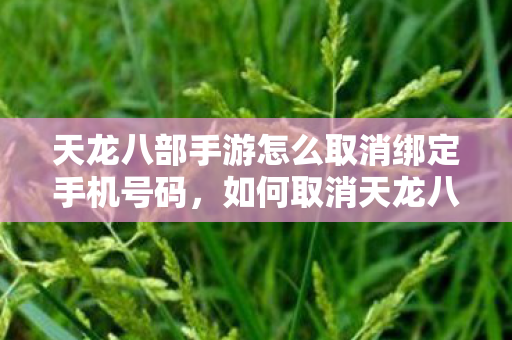 天龙八部手游怎么取消绑定手机号码,如何取消天龙八部手游绑定手机号码 天龙八部手游怎么取消绑定手机号码,如何取消天龙八部手游绑定手机号码