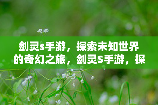 剑灵s手游，探索未知世界的奇幻之旅，剑灵S手游，探索未知世界的奇幻之旅