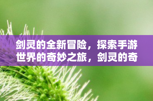 剑灵的全新冒险,探索手游世界的奇妙之旅,剑灵的奇妙冒险,探索手游世界的神秘之旅 剑灵的全新冒险,探索手游世界的奇妙之旅,剑灵的奇妙冒险,探索手游世界的神秘之旅