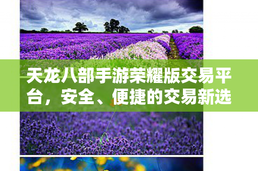 天龙八部手游荣耀版交易平台,安全、便捷的交易新选择,天龙八部手游荣耀版交易平台,安全便捷的交易新选择 天龙八部手游荣耀版交易平台,安全、便捷的交易新选择,天龙八部手游荣耀版交易平台,安全便捷的交易新选择