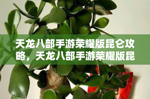天龙八部手游荣耀版昆仑攻略图片