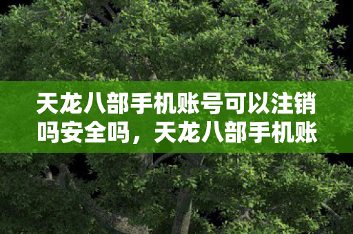 天龙八部手机账号可以注销吗安全吗，天龙八部手机账号注销安全性解析