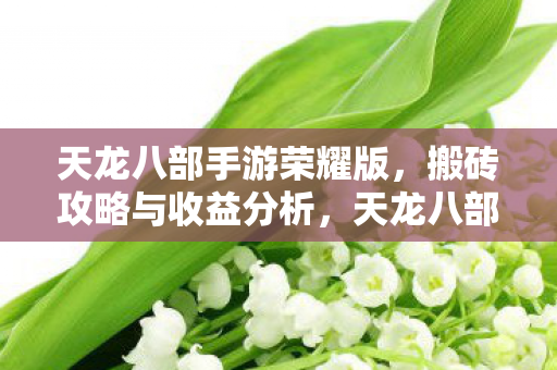 天龙八部手游荣耀版,搬砖攻略与收益分析,天龙八部手游荣耀版搬砖攻略与收益全解析 天龙八部手游荣耀版,搬砖攻略与收益分析,天龙八部手游荣耀版搬砖攻略与收益全解析