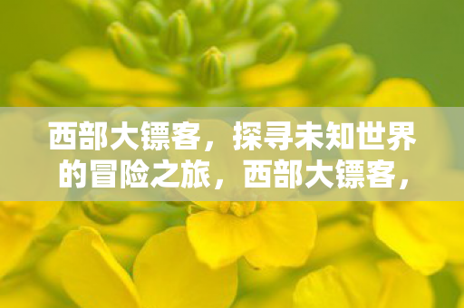 西部大镖客,探寻未知世界的冒险之旅,西部大镖客,探寻未知世界的冒险之旅 西部大镖客,探寻未知世界的冒险之旅,西部大镖客,探寻未知世界的冒险之旅