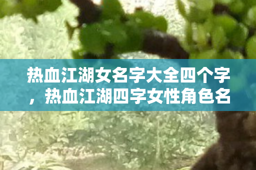 热血江湖女名字大全四个字，热血江湖四字女性角色名字大全