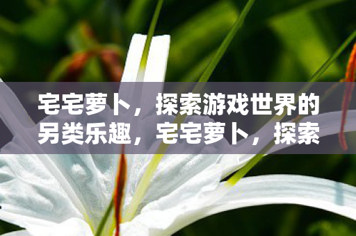 宅宅萝卜,探索游戏世界的另类乐趣,宅宅萝卜,探索游戏世界的另类乐趣 宅宅萝卜,探索游戏世界的另类乐趣,宅宅萝卜,探索游戏世界的另类乐趣
