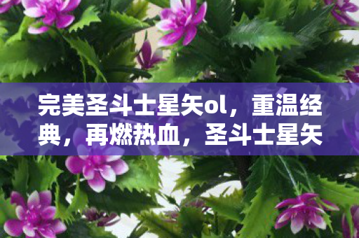 完美圣斗士星矢ol,重温经典,再燃热血,圣斗士星矢OL重温经典,再燃热血 完美圣斗士星矢ol,重温经典,再燃热血,圣斗士星矢OL重温经典,再燃热血