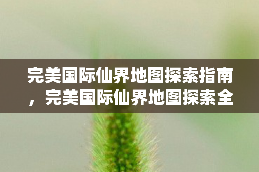 完美国际仙界地图探索指南,完美国际仙界地图探索全攻略 完美国际仙界地图探索指南,完美国际仙界地图探索全攻略