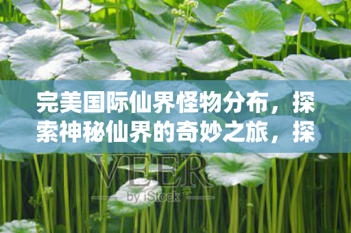完美国际仙界怪物分布，探索神秘仙界的奇妙之旅，探索完美国际仙界怪物分布，神秘仙界的奇妙之旅