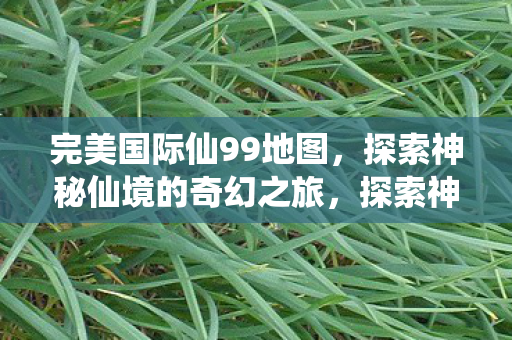 完美国际仙99地图,探索神秘仙境的奇幻之旅,探索神秘仙境,完美国际仙99地图奇幻之旅 完美国际仙99地图,探索神秘仙境的奇幻之旅,探索神秘仙境,完美国际仙99地图奇幻之旅