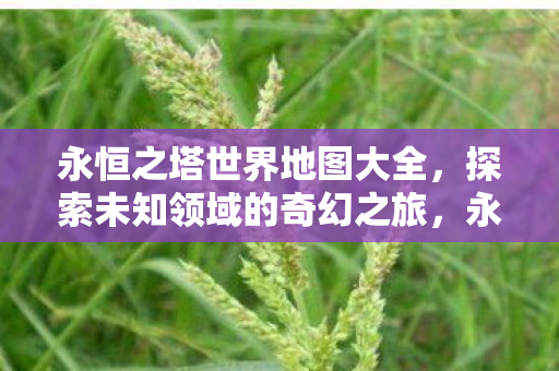 永恒之塔世界地图大全,探索未知领域的奇幻之旅,永恒之塔世界地图探索,奇幻之旅启程 永恒之塔世界地图大全,探索未知领域的奇幻之旅,永恒之塔世界地图探索,奇幻之旅启程