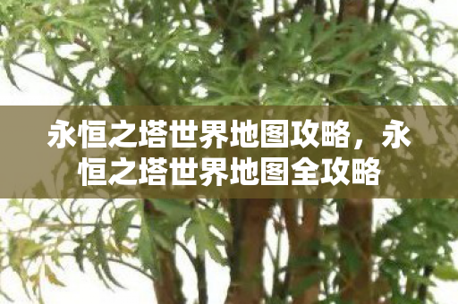 永恒之塔世界地图攻略,永恒之塔世界地图全攻略 永恒之塔世界地图攻略,永恒之塔世界地图全攻略