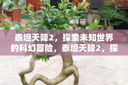 泰坦天降2,探索未知世界的科幻冒险,泰坦天降2,探索未知世界的科幻冒险之旅 泰坦天降2,探索未知世界的科幻冒险,泰坦天降2,探索未知世界的科幻冒险之旅