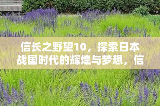 信长之野望10,探索日本战国时代的辉煌与梦想,信长之野望10,探索日本战国时代的辉煌与梦想 信长之野望10,探索日本战国时代的辉煌与梦想,信长之野望10,探索日本战国时代的辉煌与梦想