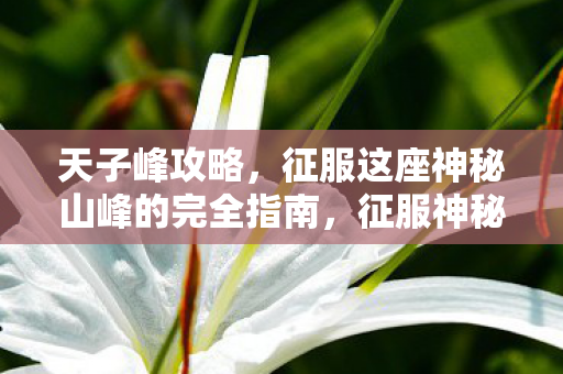 天子峰攻略,征服这座神秘山峰的完全指南,征服神秘天子峰,完全攻略指南 天子峰攻略,征服这座神秘山峰的完全指南,征服神秘天子峰,完全攻略指南