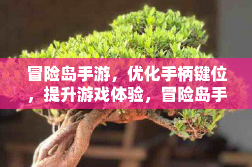 冒险岛手游优化手柄键位图片