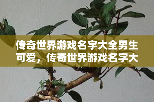 传奇世界游戏名字大全男生可爱,传奇世界游戏名字大全,打造可爱男生角色名 传奇世界游戏名字大全男生可爱,传奇世界游戏名字大全,打造可爱男生角色名