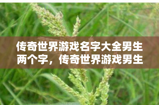 传奇世界游戏名字大全男生两个字图片