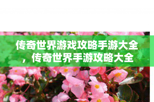 传奇世界游戏攻略手游大全，传奇世界手游攻略大全