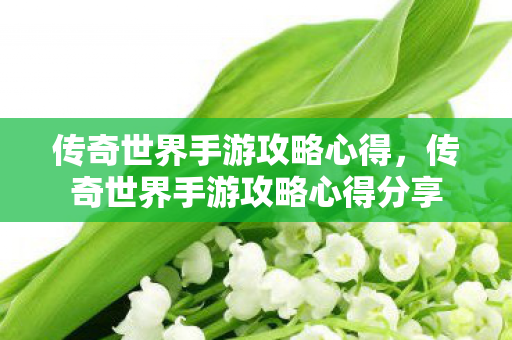 传奇世界手游攻略心得,传奇世界手游攻略心得分享 传奇世界手游攻略心得,传奇世界手游攻略心得分享