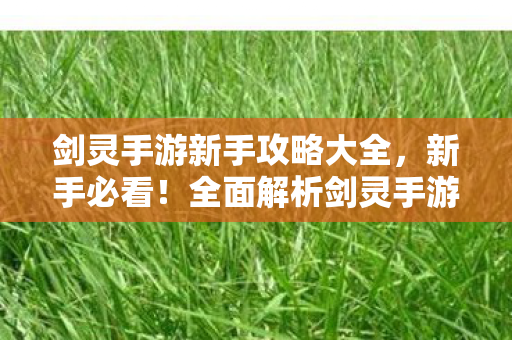 剑灵手游新手攻略大全,新手必看!全面解析剑灵手游攻略 剑灵手游新手攻略大全,新手必看!全面解析剑灵手游攻略