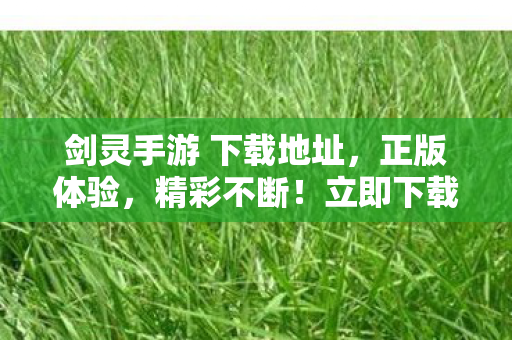 剑灵手游 下载地址,正版体验,精彩不断!立即下载剑灵手游,开启正版冒险之旅! 剑灵手游 下载地址,正版体验,精彩不断!立即下载剑灵手游,开启正版冒险之旅!