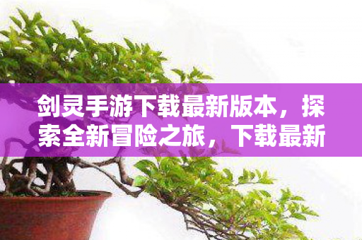 剑灵手游下载最新版本,探索全新冒险之旅,下载最新剑灵手游,开启你的冒险之旅 剑灵手游下载最新版本,探索全新冒险之旅,下载最新剑灵手游,开启你的冒险之旅