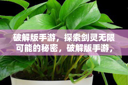 探索剑灵无限可能的秘密图片